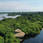 Alta Vista Amazon Lodge