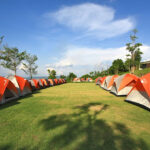 Camping Ilha do Mel Natureza