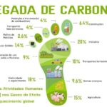 Como Reduzir a Pegada de Carbono