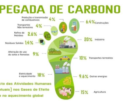 Como Reduzir a Pegada de Carbono