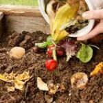 Compostagem no Camping? Sim, É Possível (e Fácil!)