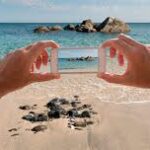 Fotografia de Natureza com Celular