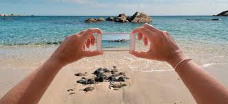 Fotografia de Natureza com Celular