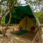 Korubo Safari Camp MT