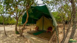 Korubo Safari Camp MT