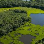 Pantanal Sul-Mato-Grossense