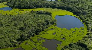 Pantanal Sul-Mato-Grossense